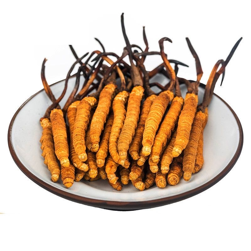 Hot Selling Best Artificial Planting Cordyceps Sinensis Herbal Extract Solid Extraction Grade 3a