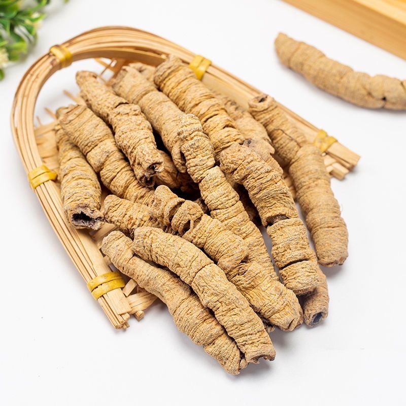 Wholesale Ba Ji Tian Chinese Herbal High Quality Natural Dried Morinda Officinalis Roots