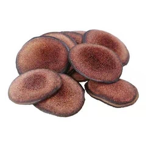 High Quality Deer Antler Powder Natural Chinese Herb Dried Deer Antlers Factory Wholesale Animal Extract