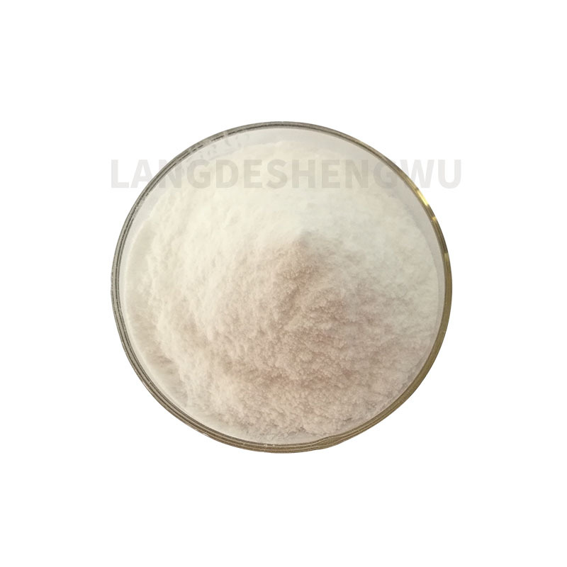Adult Beef Bone Collagen Peptide Powder Instant Powder Improved Bone Density 1kg